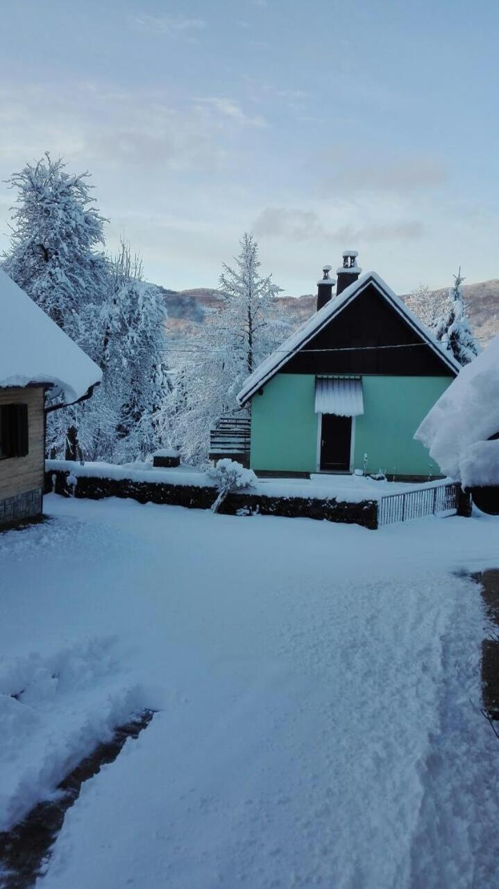 Forest Chalet Zalesina Exterior foto